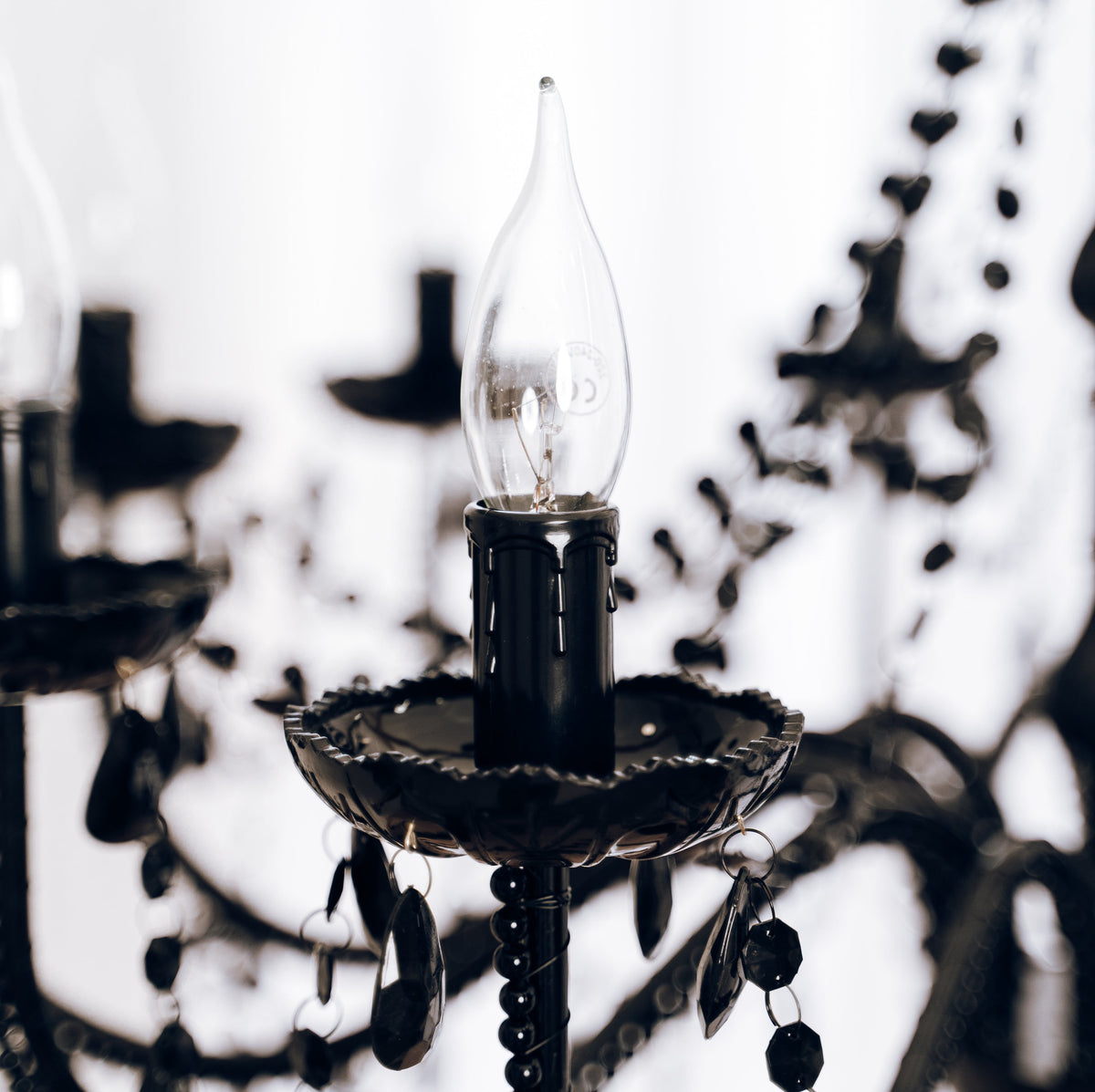 Cassie Chandelier 12 Light - Black